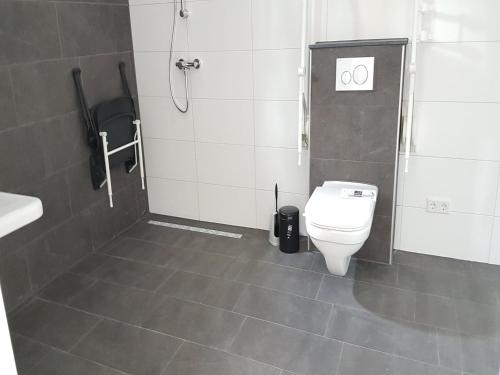 アルメンにあるCozy villa in the middle of the Achterhoekのトイレ、シャワー、洗面台を備えたバスルーム