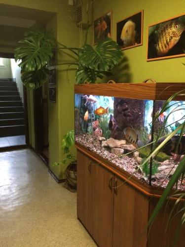 a fish tank in a living room with a fish at Strādnieku viesnīca in Ventspils