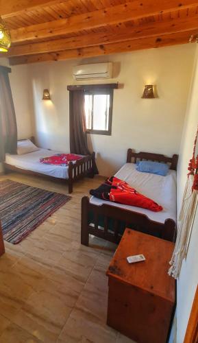 Dahab House aprtment 3