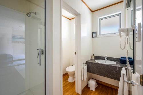 a bathroom with a sink and a toilet at ASURE Brookvale Motel in Wanaka