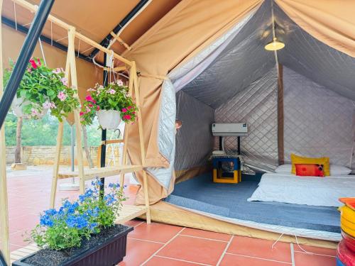 una tienda de campaña con flores y plantas en su interior en Khu Camping & Homestay Ven Biển, en Ấp Phước Tĩnh