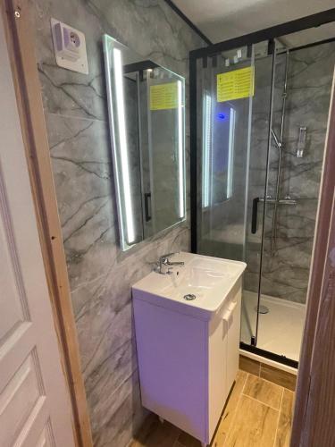 a bathroom with a sink and a shower at Confort Appart 2 in Calais
