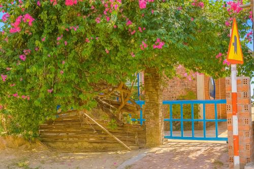 Zahrada ubytování Fresco Village