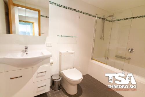 a bathroom with a toilet and a sink and a shower at Mowamba E6 in Thredbo