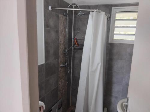 Phòng tắm tại Maison charmante à Rivière-Pilote avec vue sur la montagne