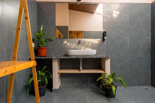 Φωτογραφία από το άλμπουμ του Aavaas Farm Hostel σε Gangāpur