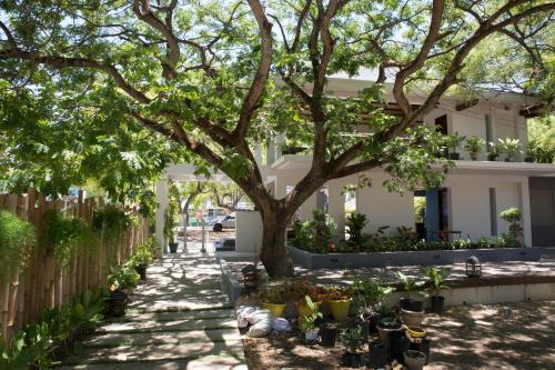 a tree in front of a house with potted plants at Karancho Beach House in Mactan