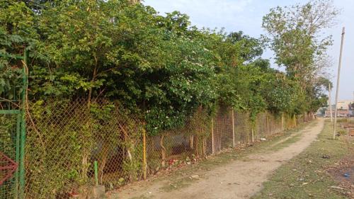 Zahrada ubytování Sukoon E Bahar homestay