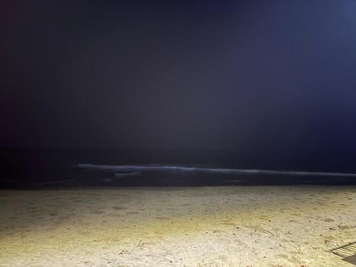 Fotografie z fotogalerie ubytování Blue castle Hotel and Resort v destinaci Tajpur