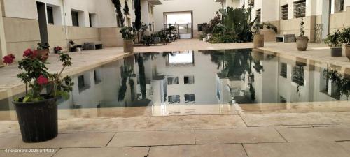 a pool of water in a building with plants at blue perl appartement haut standing luxury services in Essaouira