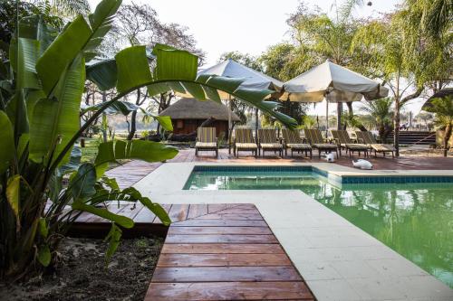 Bazén v ubytování Gondwana Hakusembe River Lodge nebo v jeho okolí