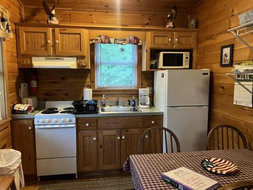 eine Küche mit einem weißen Kühlschrank und einer Spüle in der Unterkunft Bitter Goose Cabin in Barnettstown