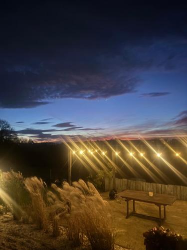 a park bench in front of a building with lights at Le calme de la prairie de liège in Liège