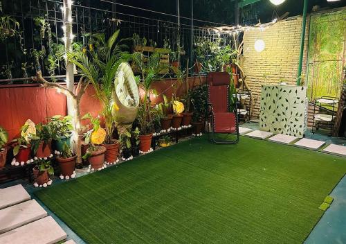 une pièce avec une moquette verte et plein de plantes dans l'établissement Dr Balis Bliss Homestay, à New Delhi