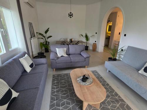Black N' White Cozy Housegarden