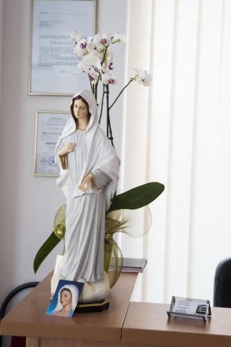 Hosté ubytování Pansion Magnolia