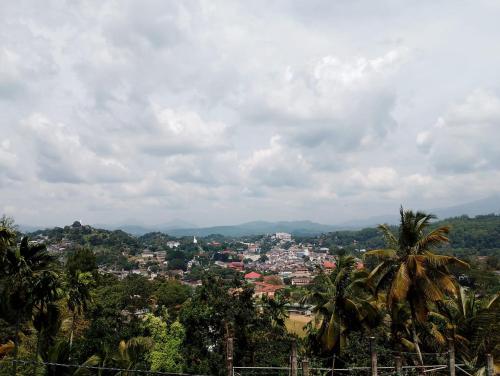 a view of a city with palm trees and buildings at Travelhubs Rooms in Kandy