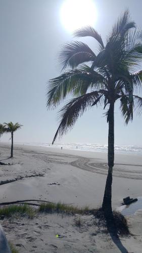 a palm tree on a beach with the sun behind it at Acampamento Aloha solemar in Praia Grande