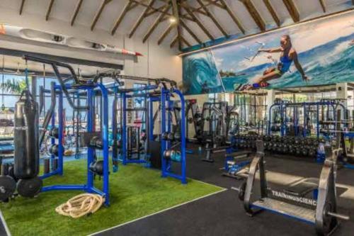a gym with a painting of a woman on the wall at Ballito Hills Lifestyle Estate in Ballito