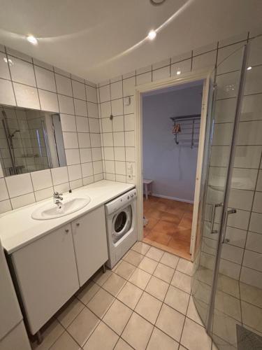 菲奈斯达伦Funäsdalsporten Röda Husen Funäsdalen的带水槽和洗衣机的浴室