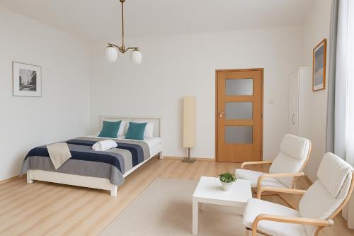 Roomy Apartment with View in the Center of Warsaw City