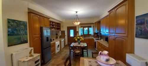 Η κουζίνα ή μικρή κουζίνα στο Hotel Oceanis 