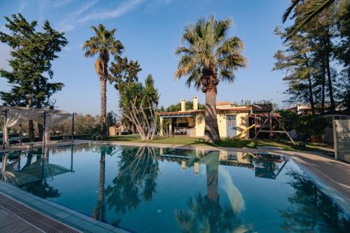 a swimming pool with palm trees and a house at Villa Elmar in Aegina Town