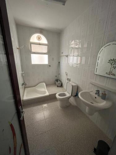 スィーブにあるMoon hostelのトイレと洗面台のあるバスルーム