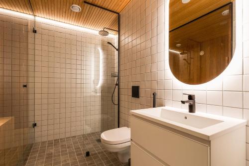 a bathroom with a toilet and a sink and a mirror at Utsun Gielas A5 Visit Levi in Levi