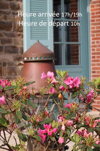 a pot in front of a window with pink flowers at Chambres d'hôtes face à Bréhat, Maison des îles in Ploubazlanec