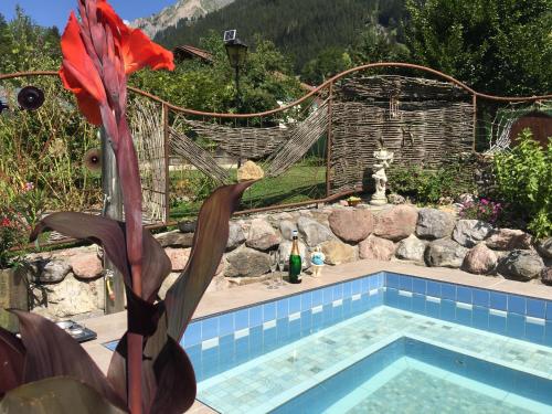 WildenHaus Älpele的花园中的游泳池,花园中种有红花