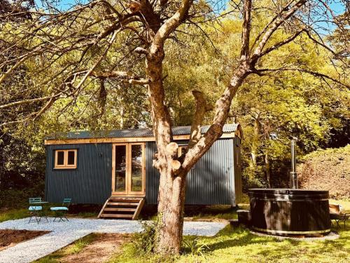 a tiny house in a yard with a tree at Worcester Escape in Hallow