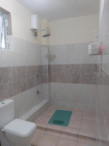 a bathroom with a toilet and a shower with a green mat at Pavilion Suites in Mombasa