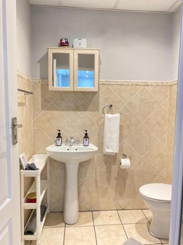a bathroom with a sink and a toilet at Granaat Pit - Paarl - Self Catering Apartment in Paarl