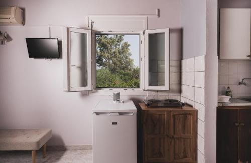 Kuchyň nebo kuchyňský kout v ubytování Artemis Vassilikos