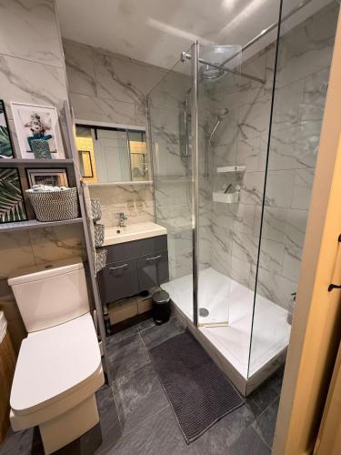 ein Badezimmer mit Dusche, Toilette und Waschbecken in der Unterkunft Lovely flat close to Tewkesbury town centre! in Tewkesbury