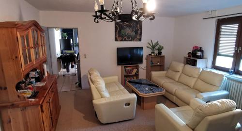 TV/trung tâm giải trí tại Komfort Ferienhaus mit Garten, 4 Zimmer, 8 Betten, eigene Küche, Bad WC, Gratis Frühstück, Parkplätze und WiFi, so privat wie zu Hause