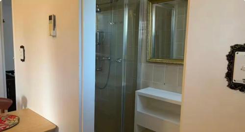a bathroom with a shower and a sink and a mirror at Mains Rd 带厨房卫浴泳池附属公寓M4 in Brisbane