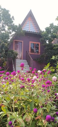 ណាវិតាយ៉ារី បឹងហ្គាឡូ Navitayary Bungalow