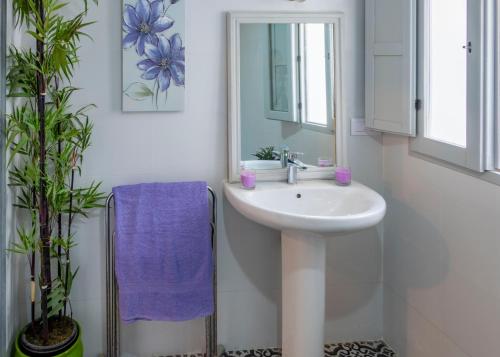 a bathroom with a sink and a mirror and a plant at Stunning 18th century cortijo with 2 private pools sleeps 12 in Vera