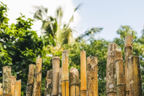 a wooden fence with trees in the background at Casa Sinabowewa in Ahangama