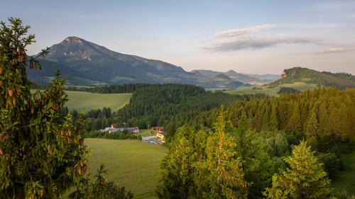 uitzicht op een groene vallei met bergen bij Holiday Park Orava - Hotel Orava in Dolný Kubín