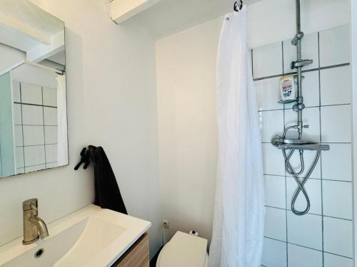 a bathroom with a sink and a toilet and a shower at La Paillote in Loctudy