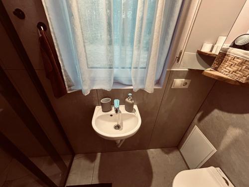 a small bathroom with a sink and a window at Braslas čuksti in Brasla
