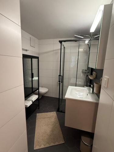 Smartroom Apartment in Zürich