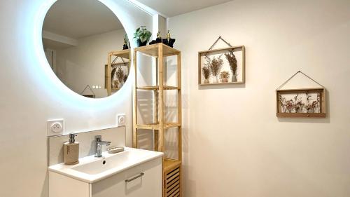 ein Badezimmer mit Waschbecken und Spiegel in der Unterkunft Le cocon mâconnais pour deux in Mâcon