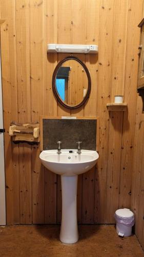 a bathroom with a white sink and a mirror at Bracken Lodge in Dallavich