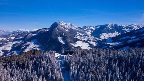 Příroda nedaleko prázdninového domu