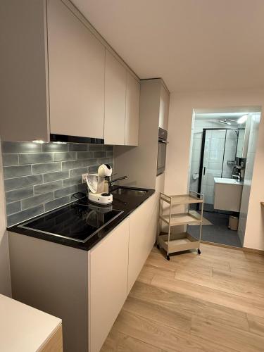 Smartroom Apartment in Zürich