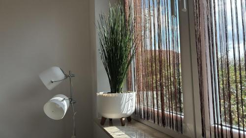 Koupelna v ubytování Pension Hirschburg Ferienwohnung 11 - Bad Sülze